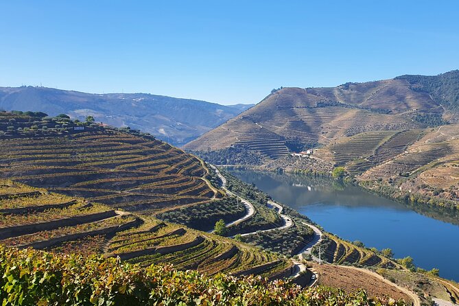 Douro Valley Tour: Wine Tasting River Cruise and Lunch from Porto - Douro Valley World Heritage and Pinhão: where the views actually earn your camera roll