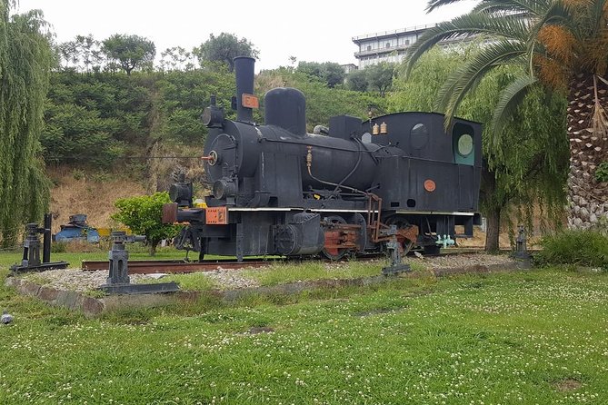 Douro Valley Tour: Wine Tasting River Cruise and Lunch from Porto - The Barco Rebelo cruise on the Douro: 55 minutes of river time