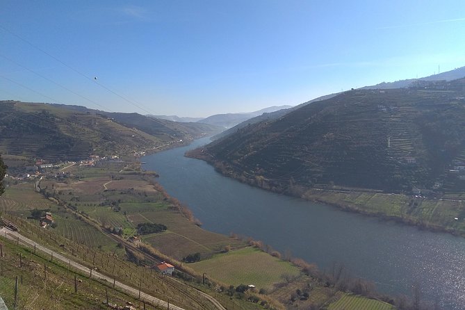 Douro Valley Tour: Wine Tasting River Cruise and Lunch from Porto - Price and value: $137.92 makes sense if you want the full package
