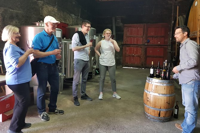 Douro Valley Wine Tour: 3 Vineyard Visits, Wine Tastings, Lunch - Stop 2 in Folgosa: Prestigious Estate Tour and Port Selection