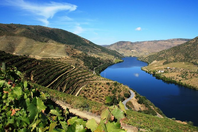 Douro Valley Wine Tour: 3 Vineyard Visits, Wine Tastings, Lunch - Porto Morning Logistics: 8:30 Start, Air-Conditioned Van, Free WiFi