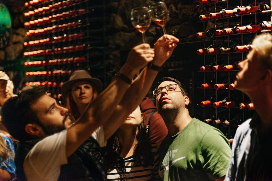Douro Valley: Wine Tour with Lunch, Tastings & River Cruise - Price and value: what $113 buys you in Douro terms