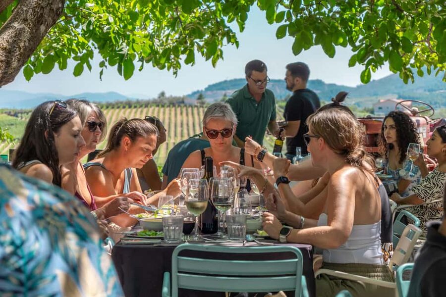 Douro Valley: Wine Tour with Lunch, Tastings & River Cruise - Lunch at the vineyard estate: paired with Douro wine, with real dietary options