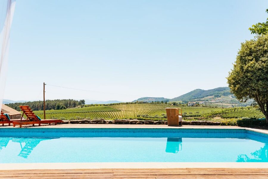 Douro Valley: Wine Tour with Lunch, Tastings & River Cruise - Second winery in the afternoon: Quinta da Roeda or Quinta São Luiz