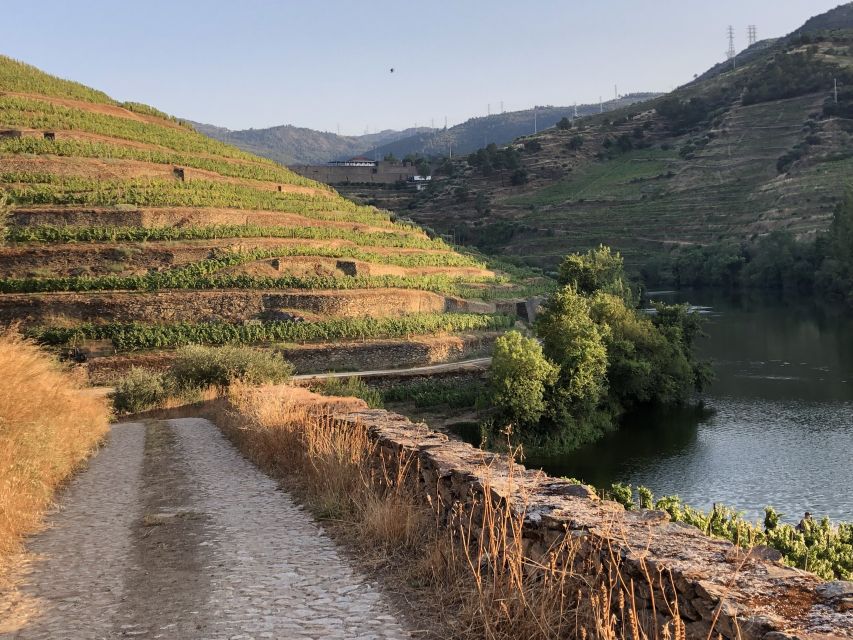 Douro Valley: Winery Tour at Quinta do Tedo and Tastings - Who should book, and who might want a longer experience