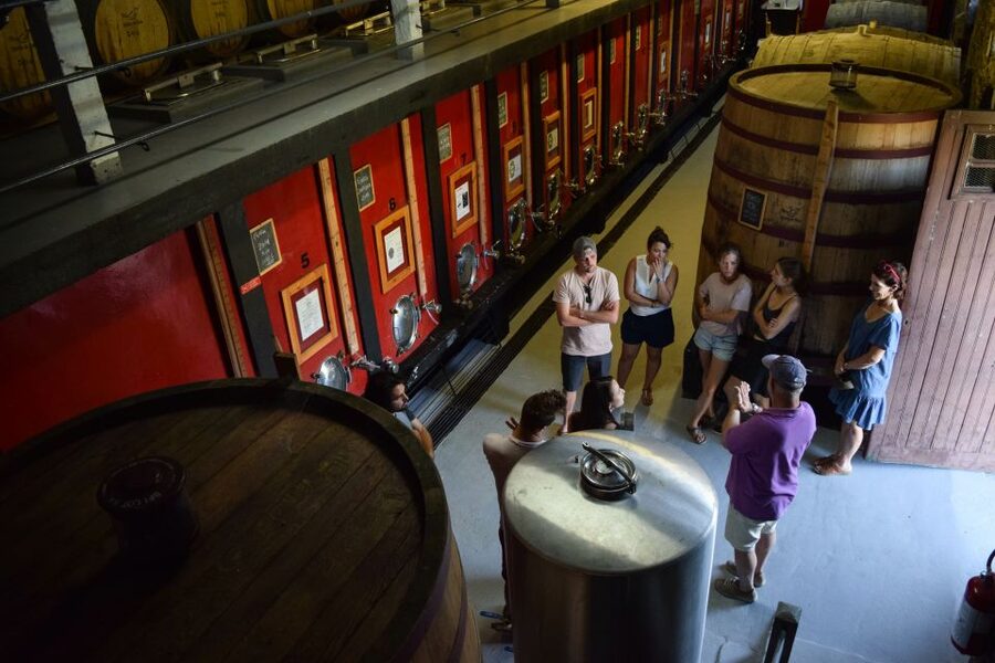 Douro Valley: Winery Tour at Quinta do Tedo and Tastings - Where Quinta do Tedo sits and why the setting matters