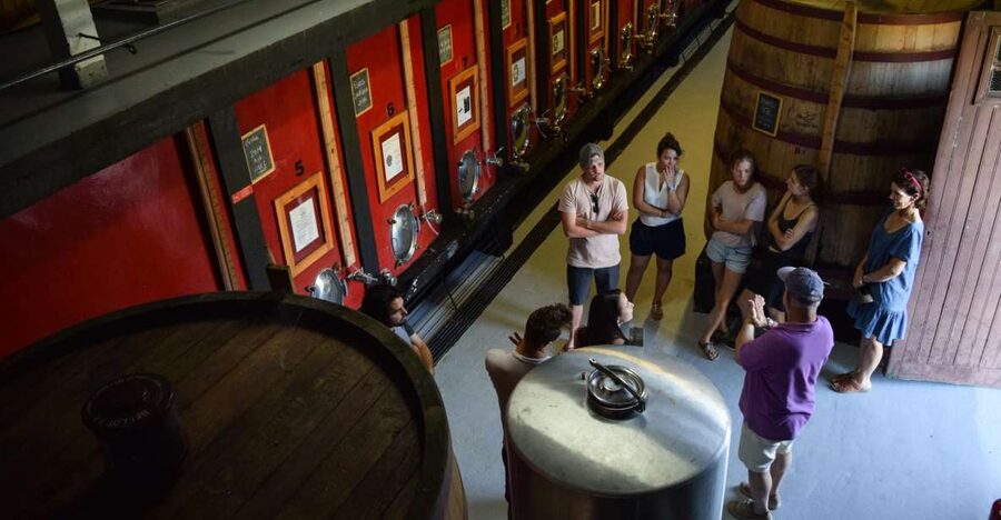 Douro Valley: Winery Tour at Quinta do Tedo and Tastings - The 35-minute guided tour: what you actually see on site