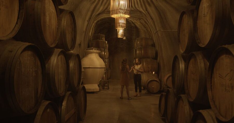 Douro Valley: Winery Tour at Quinta do Tedo and Tastings - Vineyards, organic grapes, and class A land, in plain terms
