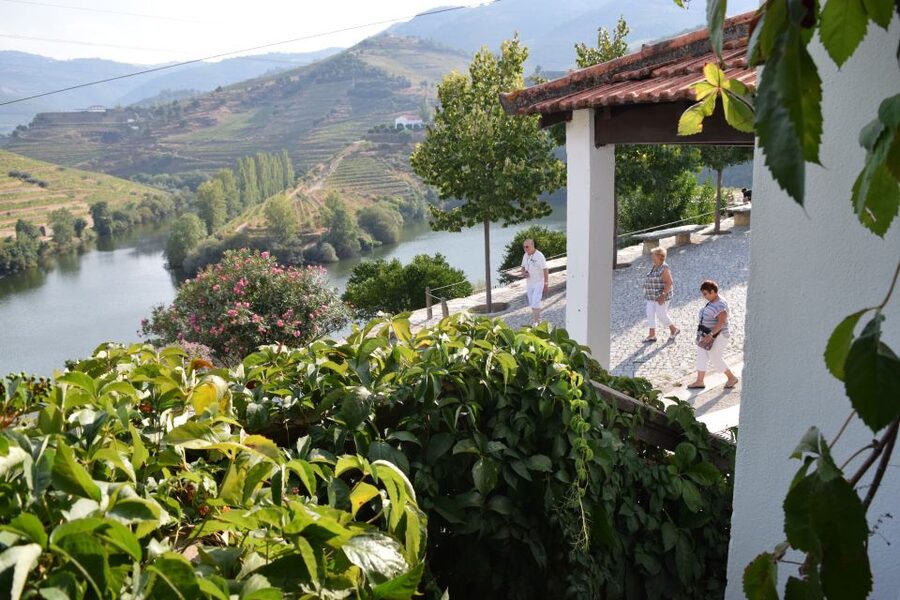 Douro Valley: Winery Tour at Quinta do Tedo and Tastings - Foot treading in the lagers and aging in 18th-century cellars