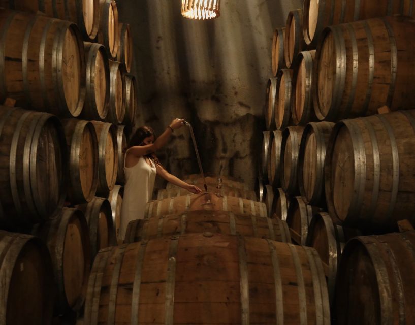 Douro Valley: Winery Tour at Quinta do Tedo and Tastings - 30-minute tasting: what you are drinking and how to pace it