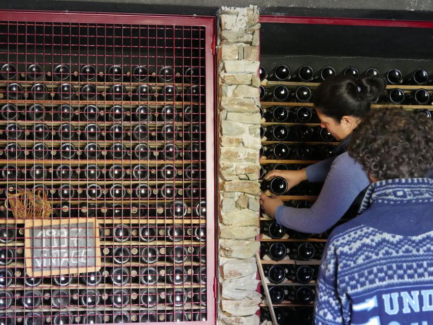 Douro Valley: Winery Tour at Quinta do Tedo and Tastings - Price and value: is $42 worth your hour?