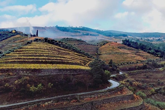 Douro Valley with Two Winery, Boat Trip and Lunch From Porto - Key highlights worth clocking before you go
