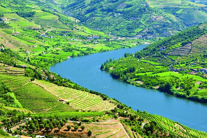 Douro Valley with Two Winery, Boat Trip and Lunch From Porto - Why this Douro Valley day trip from Porto feels efficient
