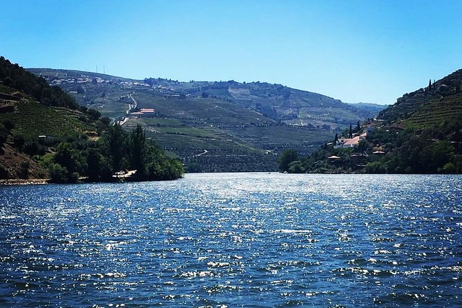 Douro Valley with Two Winery, Boat Trip and Lunch From Porto - The two winery plan: Sandeman at Quinta do Seixo, then DOrigem