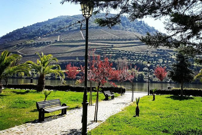 Douro Valley with Two Winery, Boat Trip and Lunch From Porto - Tabuaco lunch: the meal that makes the day feel Portuguese