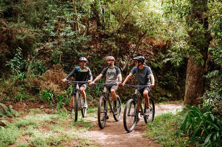 E-Bike Guided Tour - Mountain biking experience - Key points that make this ride worth your time