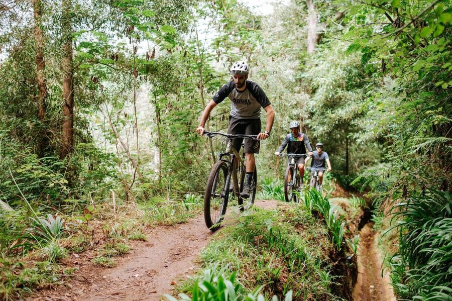 E-Bike Guided Tour - Mountain biking experience - Camacha to the levadas: the ride’s big promise