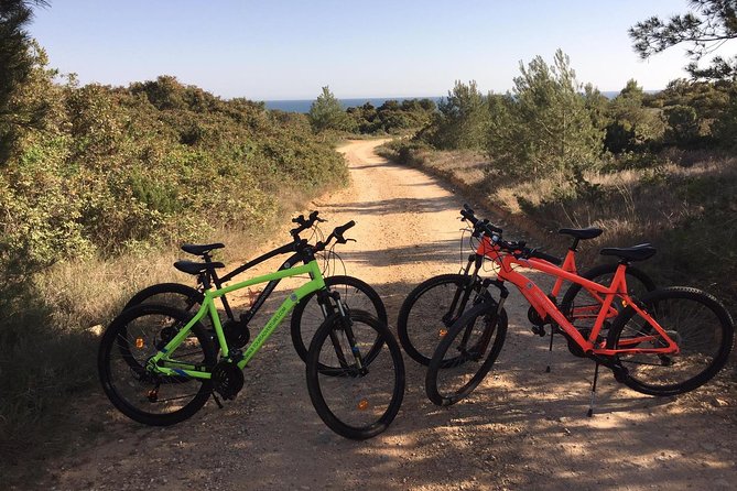 E-Bike Tour: Sete Vales Suspensos Trail (Marinha and Benagil) - Stop 1: Seven Hanging Valleys Trail, from above the coast