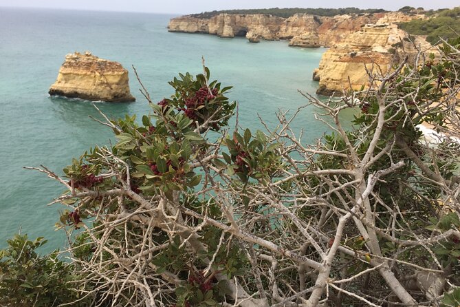 E-Bike Tour: Sete Vales Suspensos Trail (Marinha and Benagil) - Praia da Marinha and the natural arches you came for