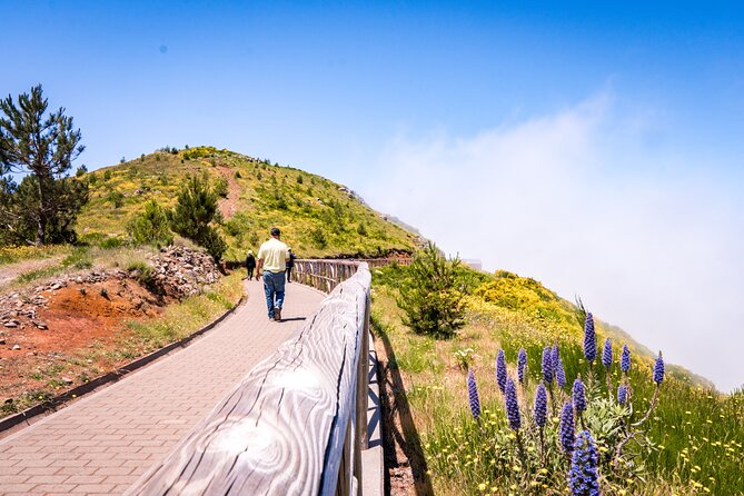 East of Madeira | Full Day 4x4 Tour - Optional Levada Walk: What the 45 Minutes Feels Like