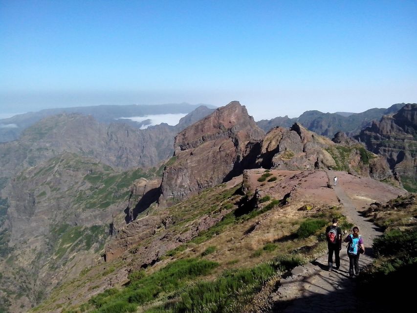 Eastern Madeira: Full-Day Tour with Rum Tasting - The Morning Start: Funchal Viewpoints and the Eucalyptus Roads
