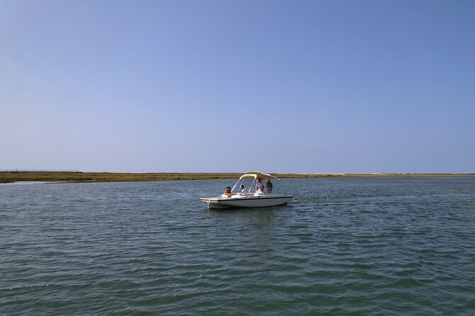 Eco Boat Tour in the Ria Formosa Lagoon from Faro - Getting to the meeting point in Faro without stress
