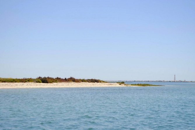 Eco Boat Tour in the Ria Formosa Lagoon from Faro - Guides and onboard vibe: small group, live commentary, and handy extras