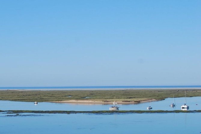 Eco Boat Tour in the Ria Formosa Lagoon from Faro - Price and value: is $30.23 for 60 minutes a fair deal?