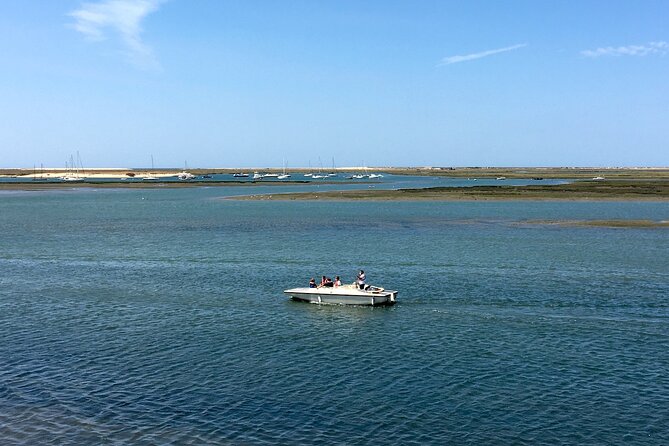 Eco Boat Tour in the Ria Formosa Lagoon from Faro - Final call: should you book this from Faro?