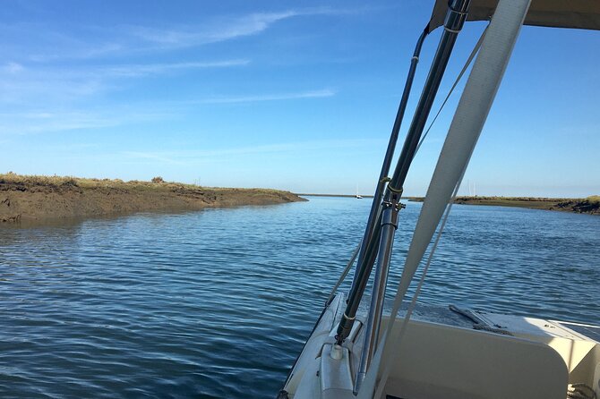 Eco Boat Tour in the Ria Formosa Lagoon from Faro - The 1-hour itinerary: what you do on the water (and what you might not)