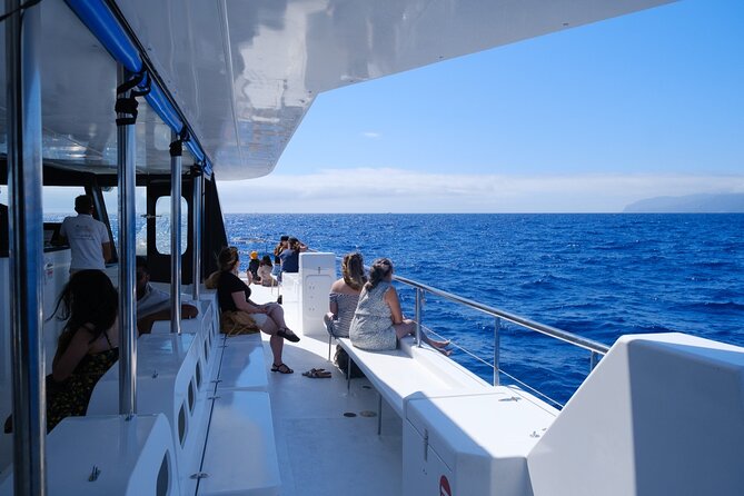 Eco-Friendly Catamaran Dolphin and Whale Watching - From Magic Dolphin Marina to open water: what the first stretch feels like
