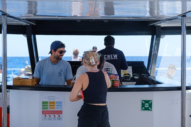 Eco-Friendly Catamaran Dolphin and Whale Watching - A few tips to make your day smoother, from start to finish