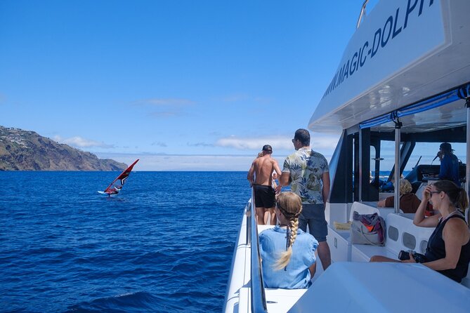 Eco-Friendly Catamaran Dolphin and Whale Watching - The eco catamaran experience: comfort, cleanliness, and real-life practicality