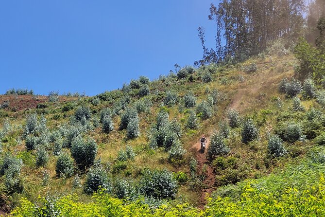 Enduro Dirt-Bike Tour - Bikes, Safety Gear, and Support on the Trails