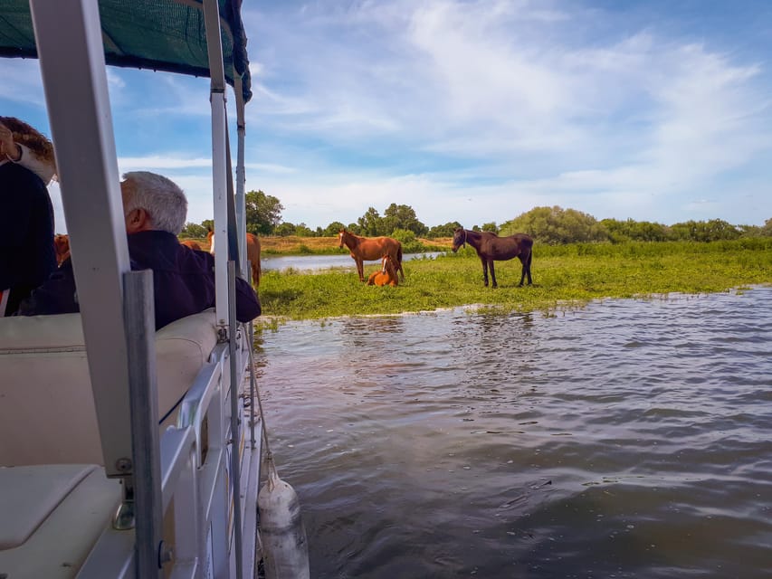 Escaroupim: 1 hour boat trip, guided tour - Practical details: where to meet and what to bring