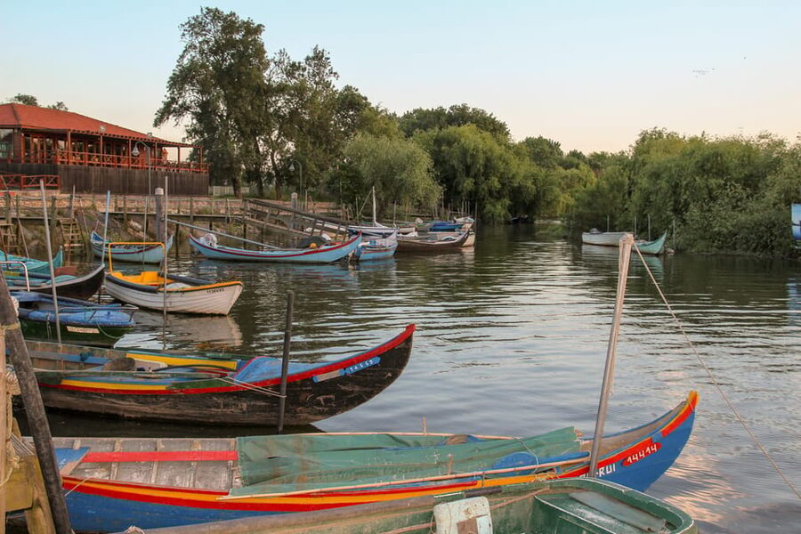 Escaroupim: 1 hour boat trip, guided tour - Avieiros culture routes: fishing life, stilt houses, and migration