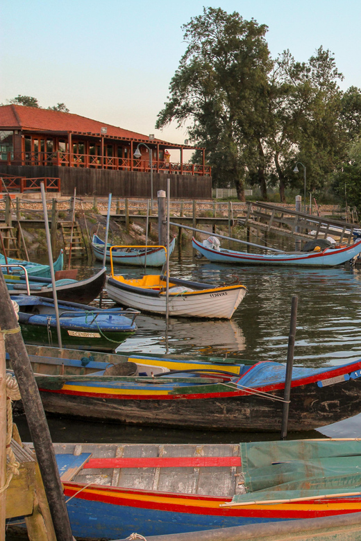 Escaroupim: 1 hour boat trip, guided tour - Islets and mouchões: the quick, exciting fish-jumping moments