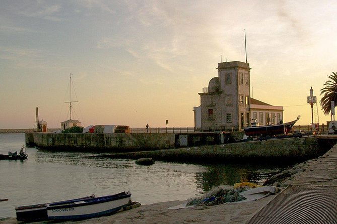 Experience Porto by Bike: 3-Hour Private Tour - Key highlights worth planning around
