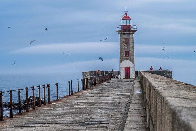 Experience Porto by Bike: 3-Hour Private Tour - Arrábida Bridge to Cantareira: big engineering views with a real working-river feel