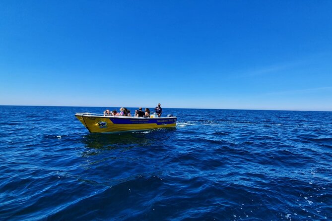 Express Tour - Benagil Cave - Price and value: is $24.19 worth it?