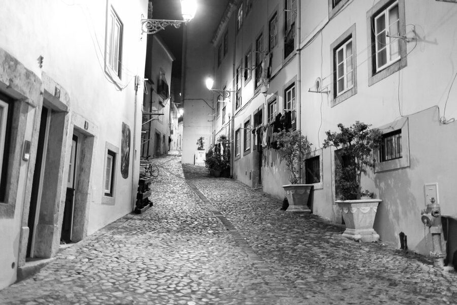 Fado: Musical Walking Tour with Food & Live Show - Price and value: what $100 gets you in a 3-hour night