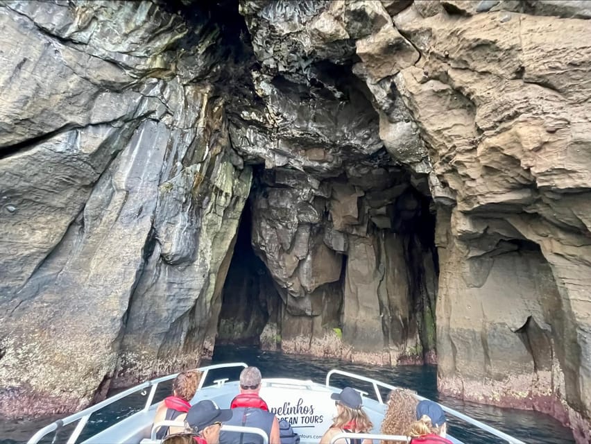 Faial Island: Unique boat tour to the Capelinhos volcano - Meeting at Horta Marina and What the 3 to 4 Hours Actually Includes