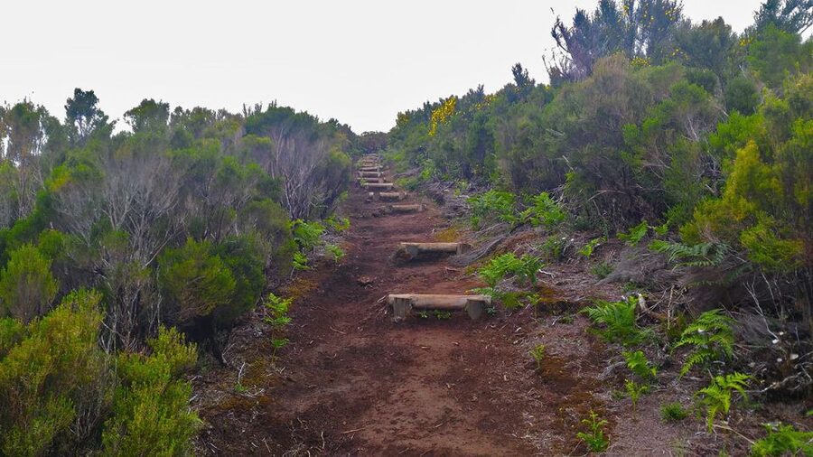 Fanal / Assobiadores - Levada Walk - Steep climbs, narrow paths, and why the guide matters