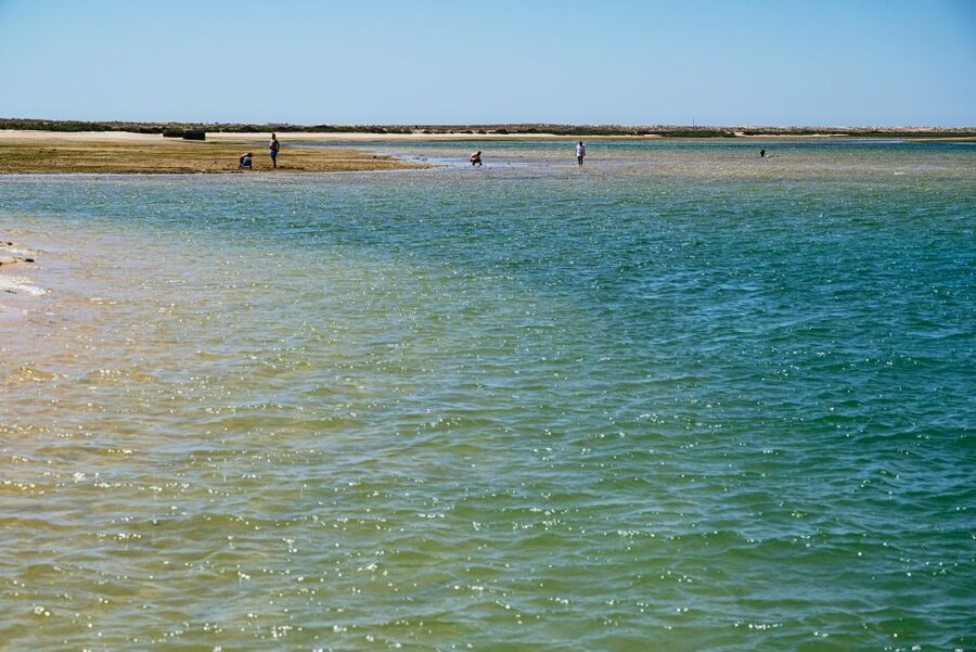 Faro: Deserta Island and Farol Island Catamaran Boat Trip - Comfort, safety, and the small things that make the trip work