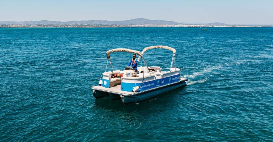 Faro: Deserta Island and Farol Island Catamaran Boat Trip - Price and value: what $47 buys in real time