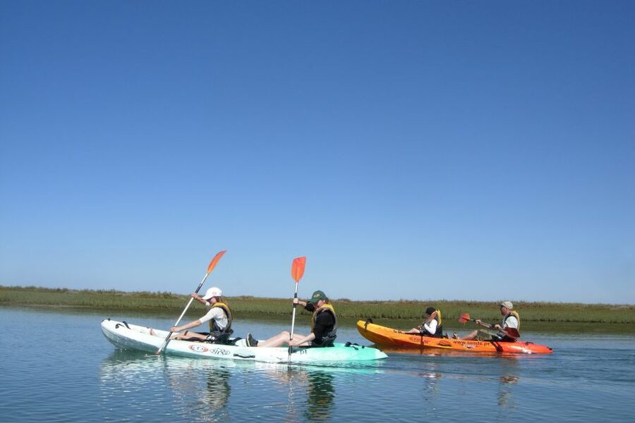Faro: Kayak Hire in Ria Formosa Natural Park - What to Bring, What to Wear, and What to Skip
