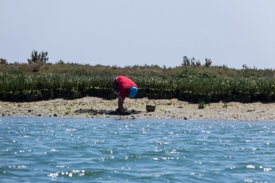 Faro: Kayak Hire in Ria Formosa Natural Park - What Your 2.5 to 4 Hour Paddle Looks Like