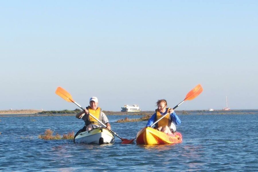 Faro: Kayak Hire in Ria Formosa Natural Park - Wind, Traffic, and Navigation Tips That Actually Matter