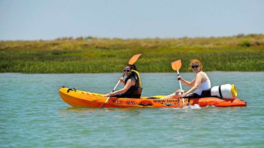 Faro: Kayak Hire in Ria Formosa Natural Park - Price and Value: Is $40 per Person Worth It?