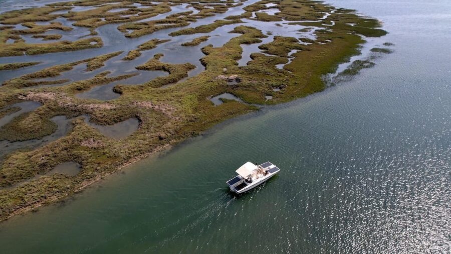 Faro: Ria Formosa Boat Tour by Eco-Friendly Solar Boat - Key things that make this tour worth your time